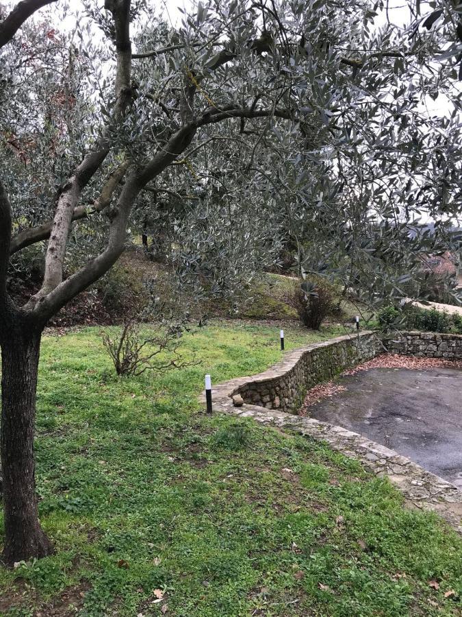 La Ghirlanda B&B Arezzo Exterior photo